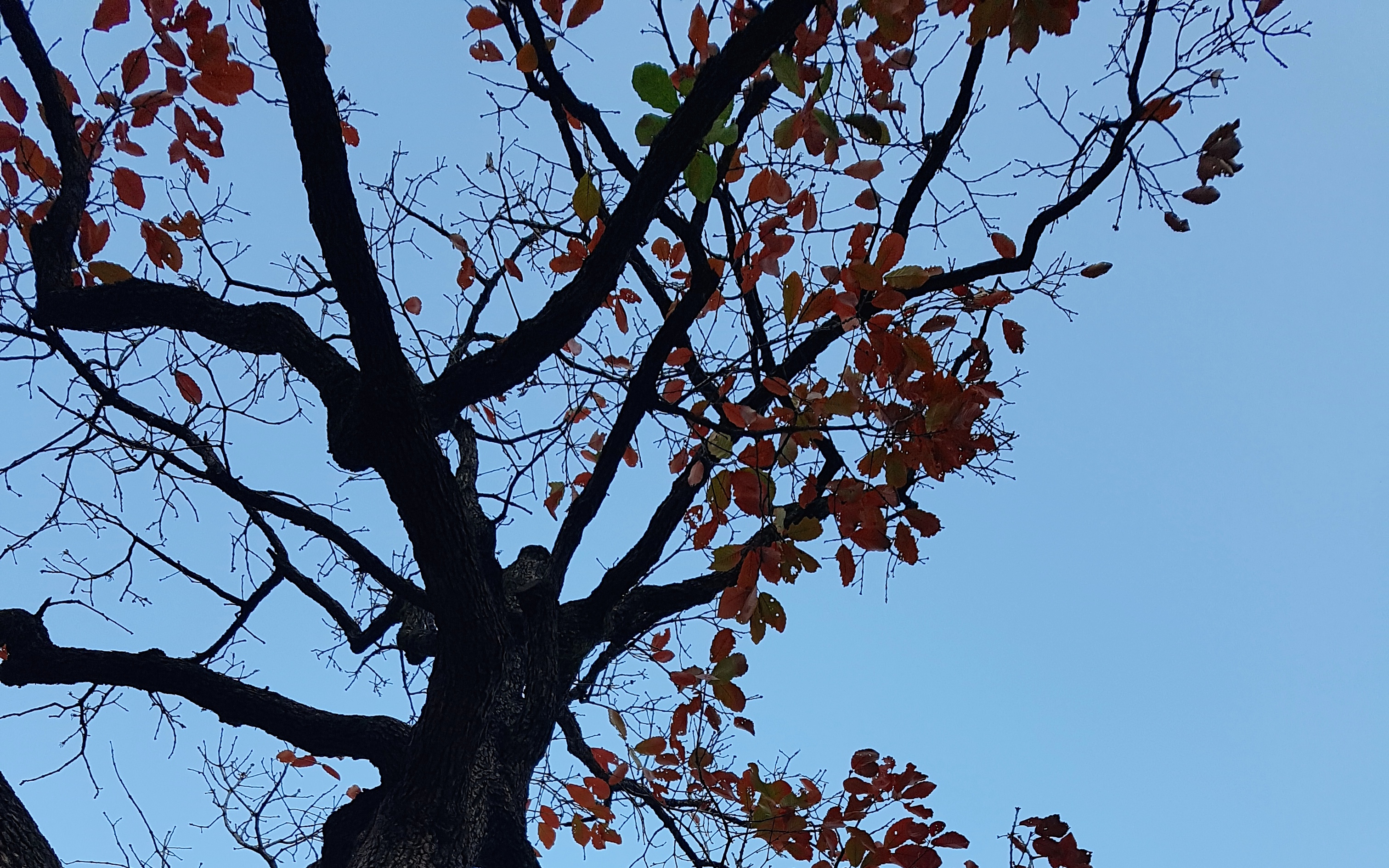 이야기 48. 명확성(Clarity) 최적화하기 : You Should Test That(8)